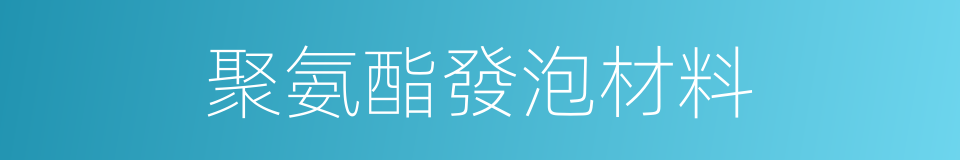 聚氨酯發泡材料的同義詞