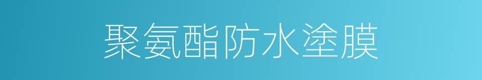 聚氨酯防水塗膜的同義詞