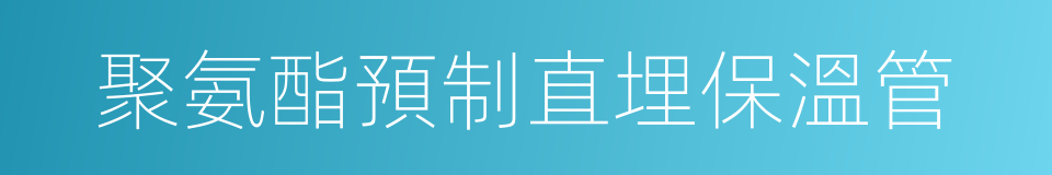 聚氨酯預制直埋保溫管的同義詞