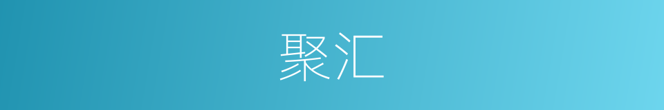 聚汇的意思