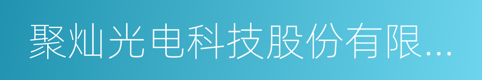 聚灿光电科技股份有限公司的同义词