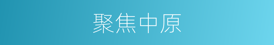 聚焦中原的同义词