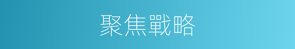 聚焦戰略的同義詞
