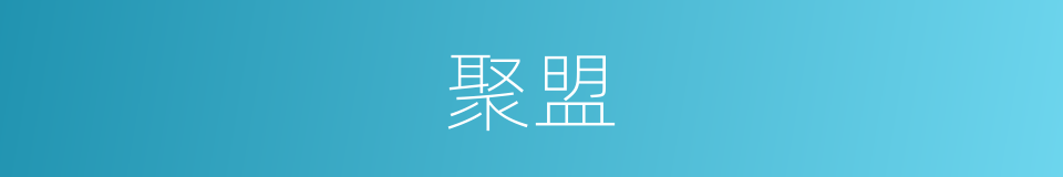 聚盟的同义词