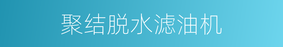 聚结脱水滤油机的同义词
