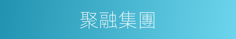 聚融集團的同義詞