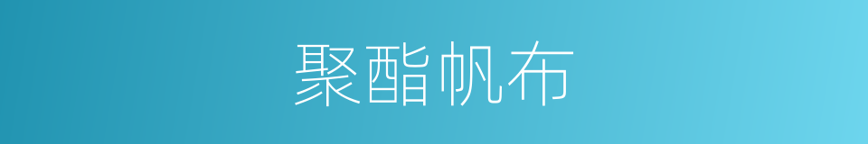 聚酯帆布的意思