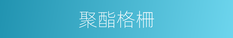 聚酯格柵的同義詞