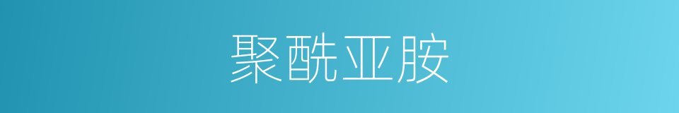 聚酰亚胺的同义词