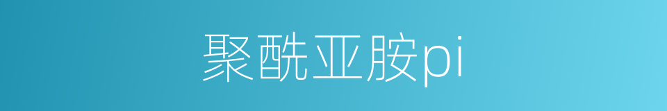 聚酰亚胺pi的同义词
