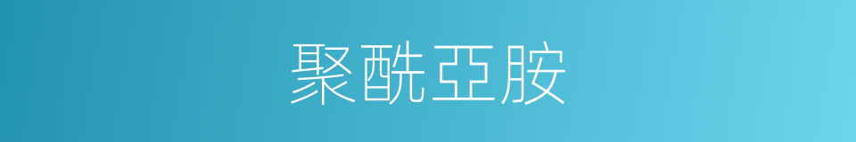 聚酰亞胺的同義詞