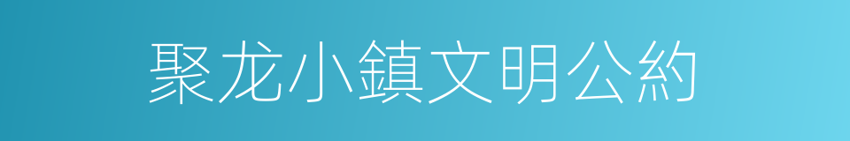 聚龙小鎮文明公約的同義詞