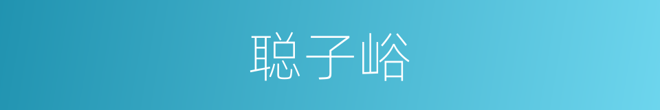 聪子峪的同义词