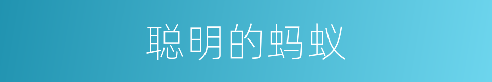 聪明的蚂蚁的同义词