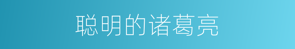 聪明的诸葛亮的同义词