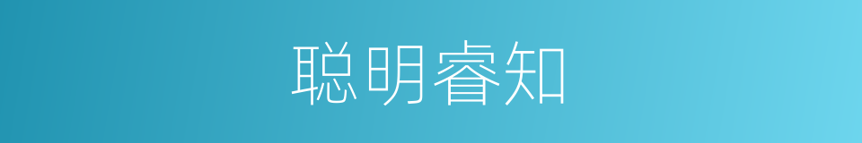 聪明睿知的意思