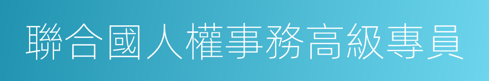 聯合國人權事務高級專員的同義詞
