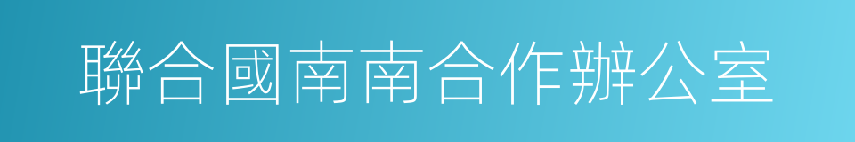 聯合國南南合作辦公室的同義詞