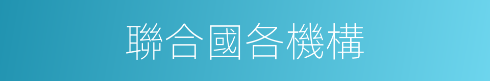 聯合國各機構的同義詞