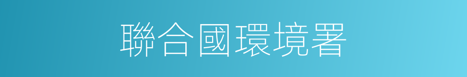 聯合國環境署的同義詞