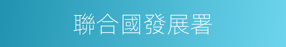 聯合國發展署的同義詞