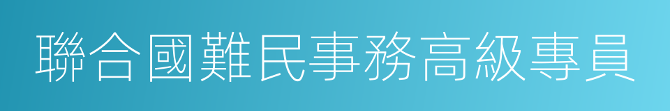 聯合國難民事務高級專員的同義詞