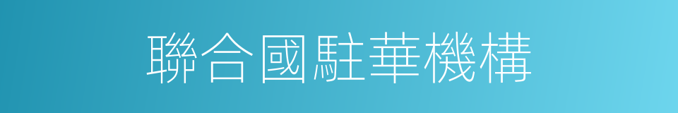 聯合國駐華機構的同義詞