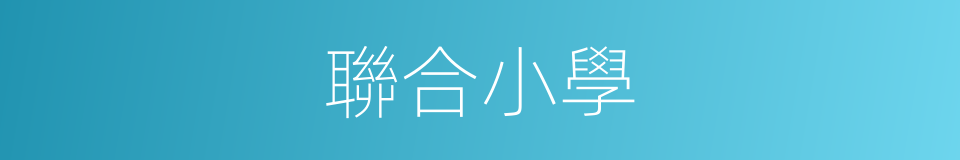 聯合小學的同義詞