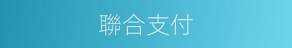 聯合支付的同義詞