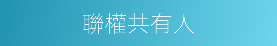 聯權共有人的同義詞