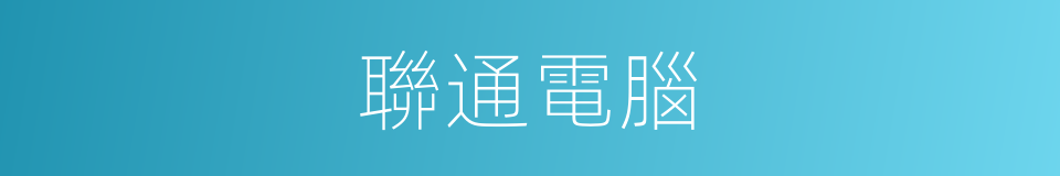 聯通電腦的同義詞