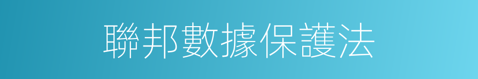 聯邦數據保護法的同義詞