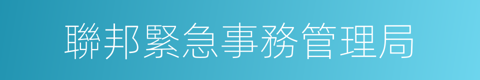 聯邦緊急事務管理局的同義詞