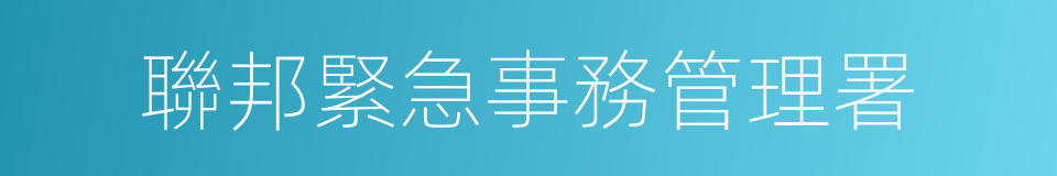 聯邦緊急事務管理署的同義詞