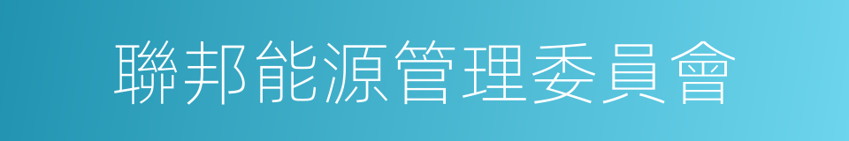 聯邦能源管理委員會的同義詞