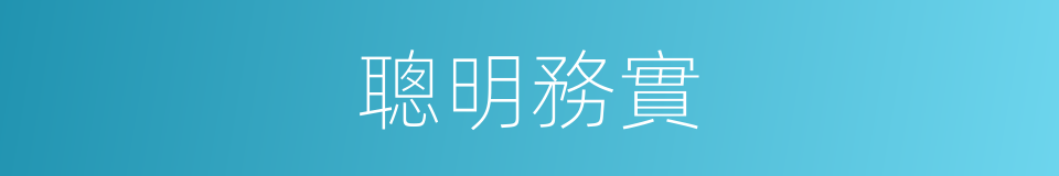 聰明務實的同義詞