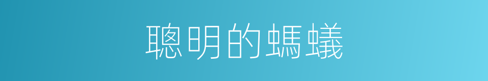 聰明的螞蟻的同義詞