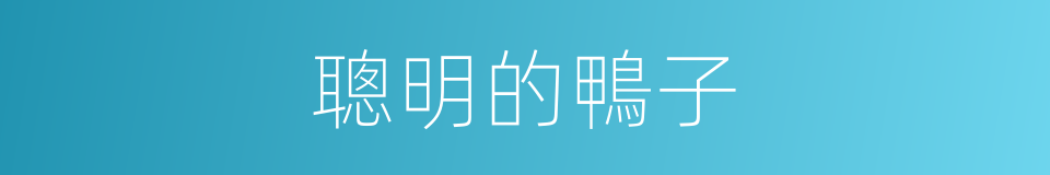 聰明的鴨子的同義詞