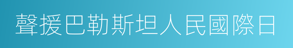 聲援巴勒斯坦人民國際日的同義詞