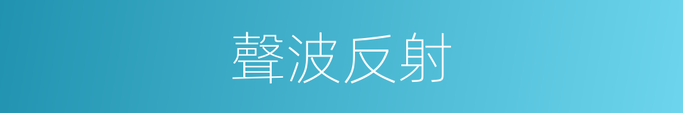 聲波反射的同義詞