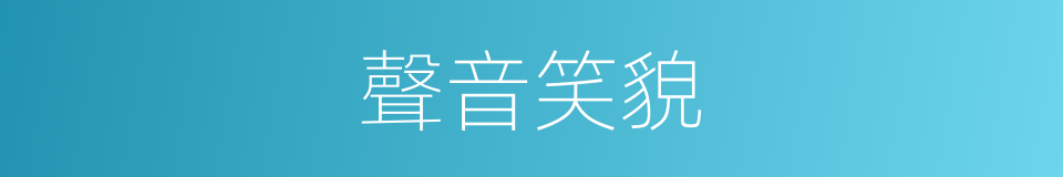 聲音笑貌的意思
