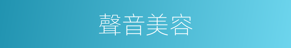 聲音美容的同義詞