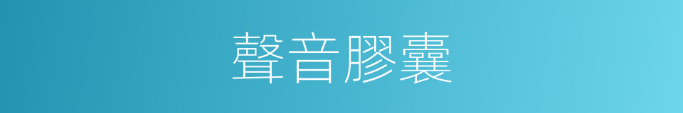 聲音膠囊的同義詞