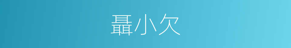 聶小欠的同義詞