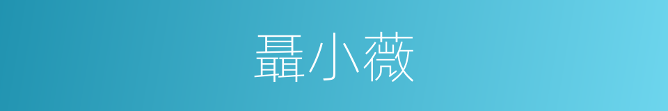 聶小薇的同義詞