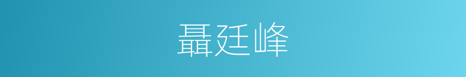 聶廷峰的同義詞