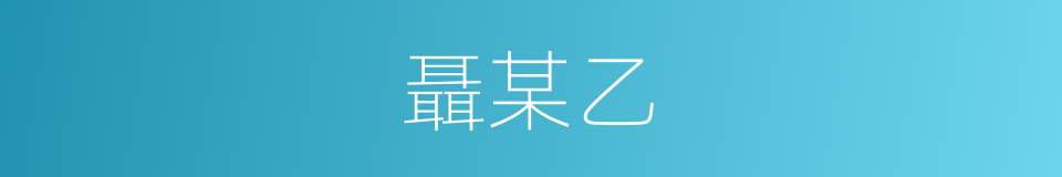 聶某乙的同義詞