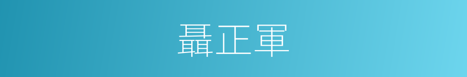 聶正軍的同義詞