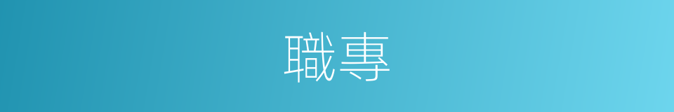 職專的意思