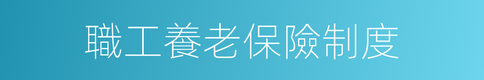 職工養老保險制度的同義詞